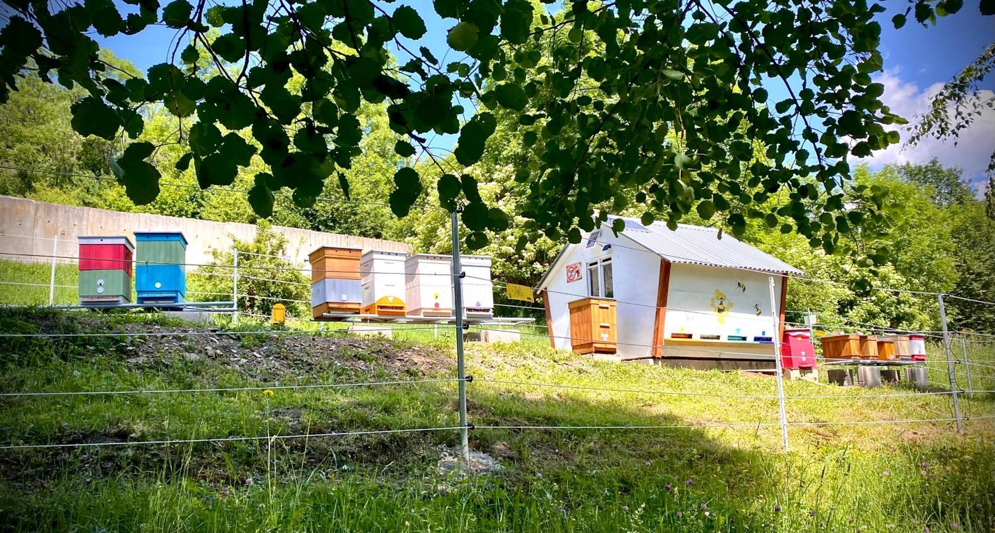 Apartmany Svrcinky Liptovsky Mikulas Exterior foto