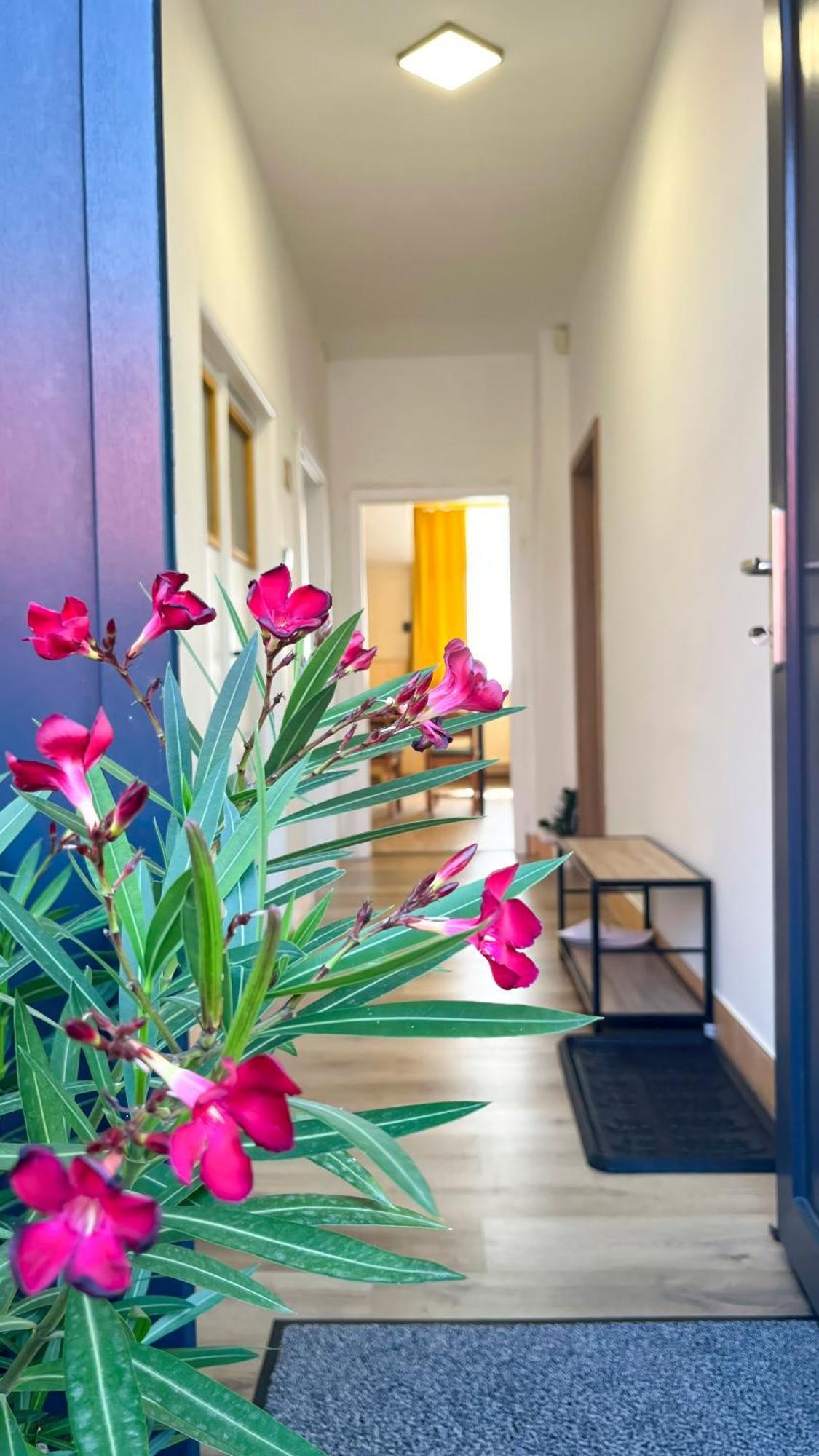 Apartmany Svrcinky Liptovsky Mikulas Exterior foto